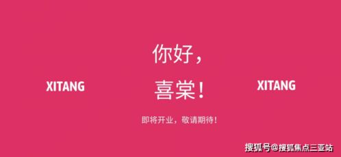 三亞房地產(chǎn)項目詳情咨詢?nèi)馕?從區(qū)位到投資的全方位指南